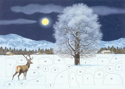 Zauberhafte Winternacht Adventskalender-Grußkarten