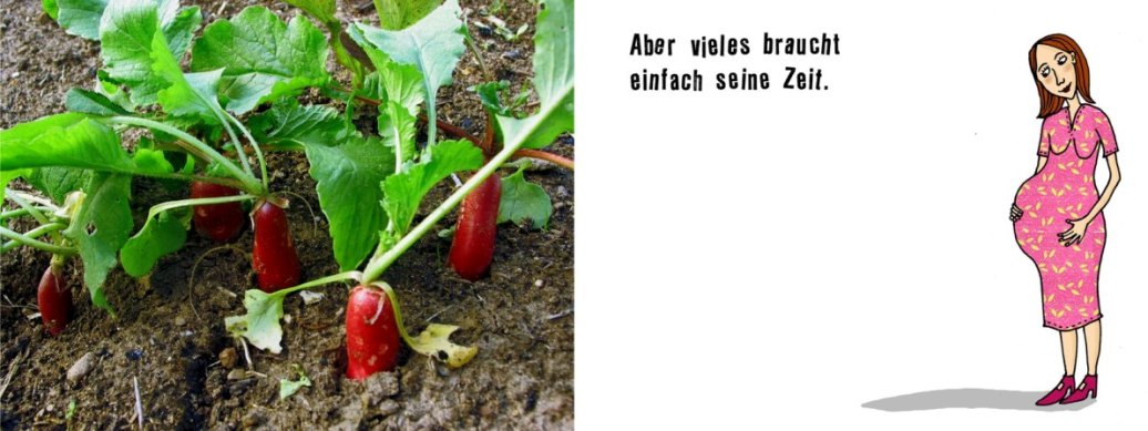 Alle Zeit der Welt