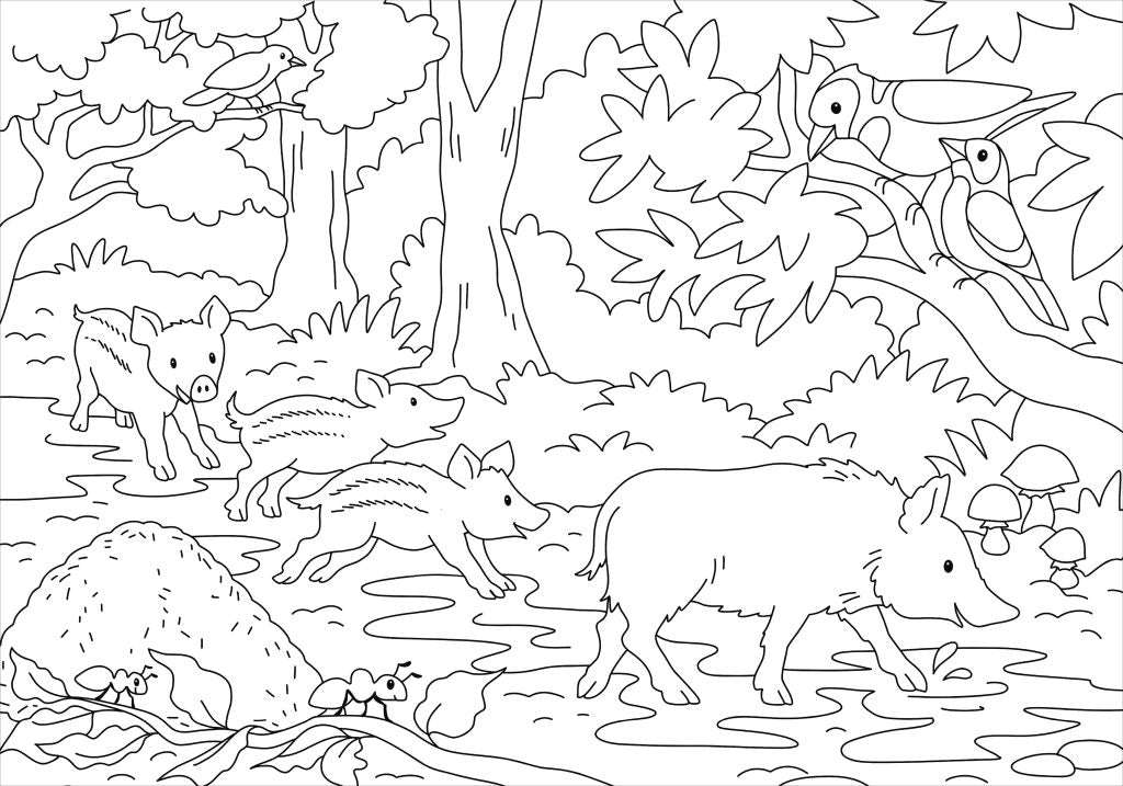 Malen Tessloff Mein schönstes Malbuch // Wald und Wiese