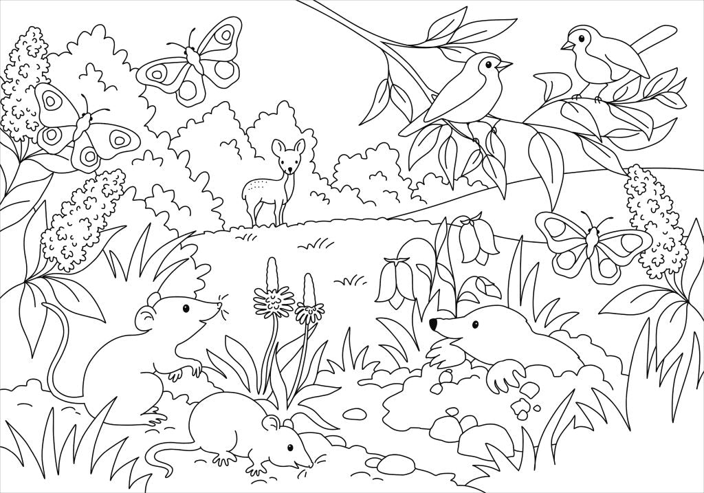 Malen Tessloff Mein schönstes Malbuch // Wald und Wiese