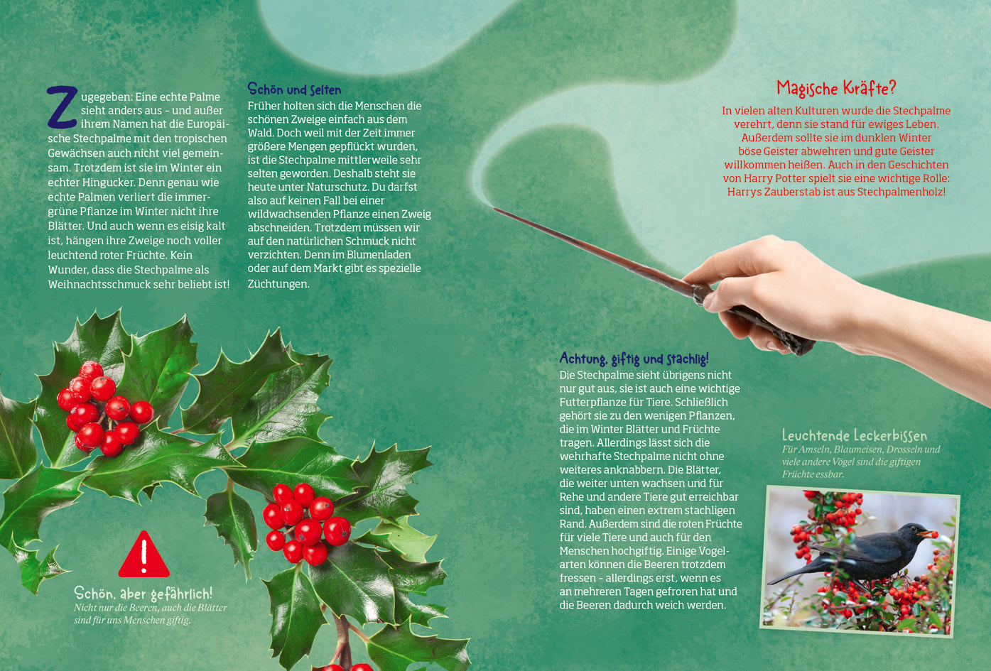 Adventskalender Tessloff Mein WAS IST WAS Adventskalenderbuch 3