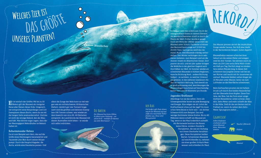 Buch Tessloff Das große WAS IST WAS-Antwortbuch Tierwelt