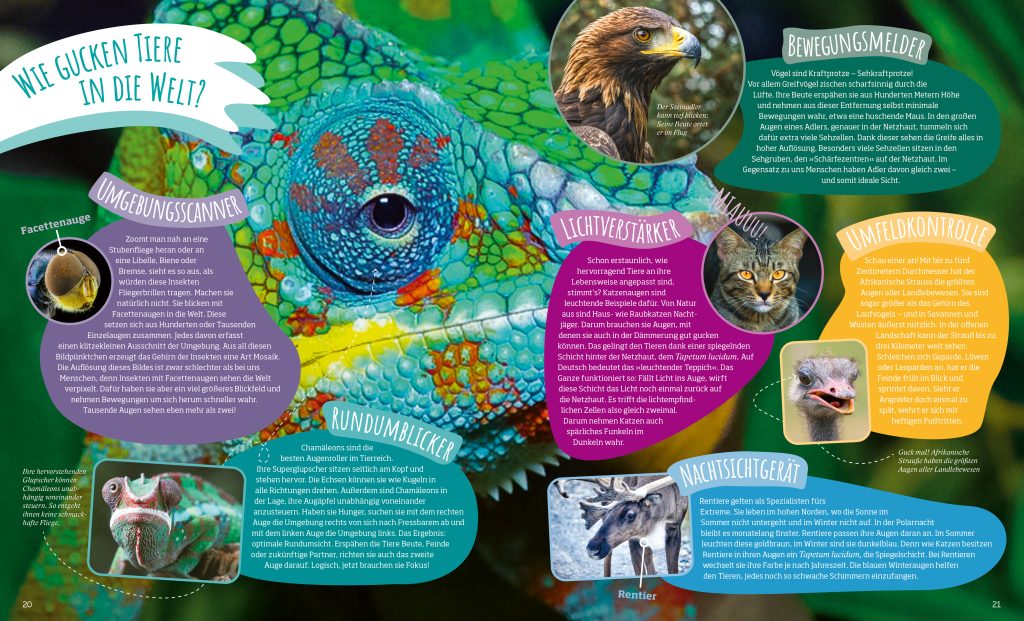 Buch Tessloff Das große WAS IST WAS-Antwortbuch Tierwelt