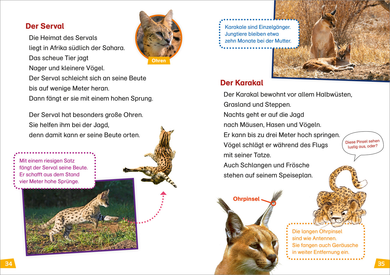 WAS IST WAS Erstes Lesen. Raubkatzen