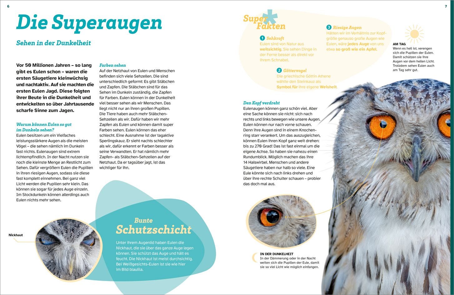 WAS IST WAS Eulen. Jäger mit Supersinnen
