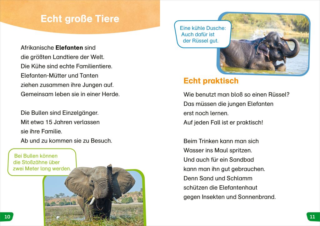 Sachbuch Tessloff WAS IST WAS Erstes Lesen easy! Tiere in Afrika