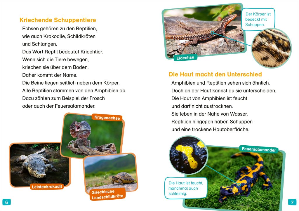 Sachbuch Tessloff WAS IST WAS Erstes Lesen. Echsen