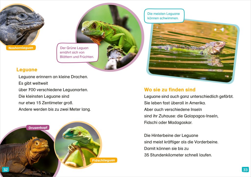 Sachbuch Tessloff WAS IST WAS Erstes Lesen. Echsen