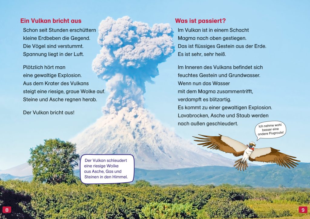WAS IST WAS Erstes Lesen. Vulkane