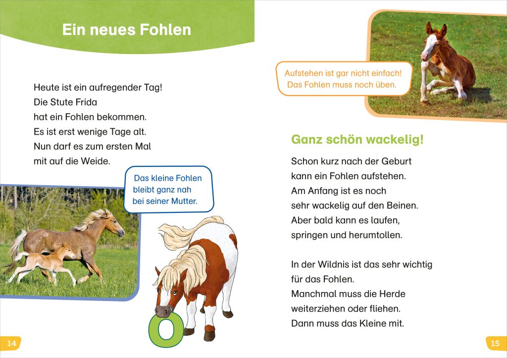 WAS IST WAS Erstes Lesen easy!  Komm mit zu den Pferden