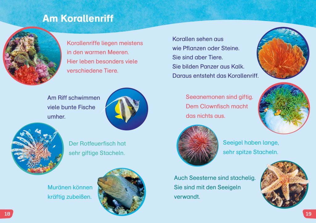 WAS IST WAS Erstes Lesen easy!  Tiere im Meer