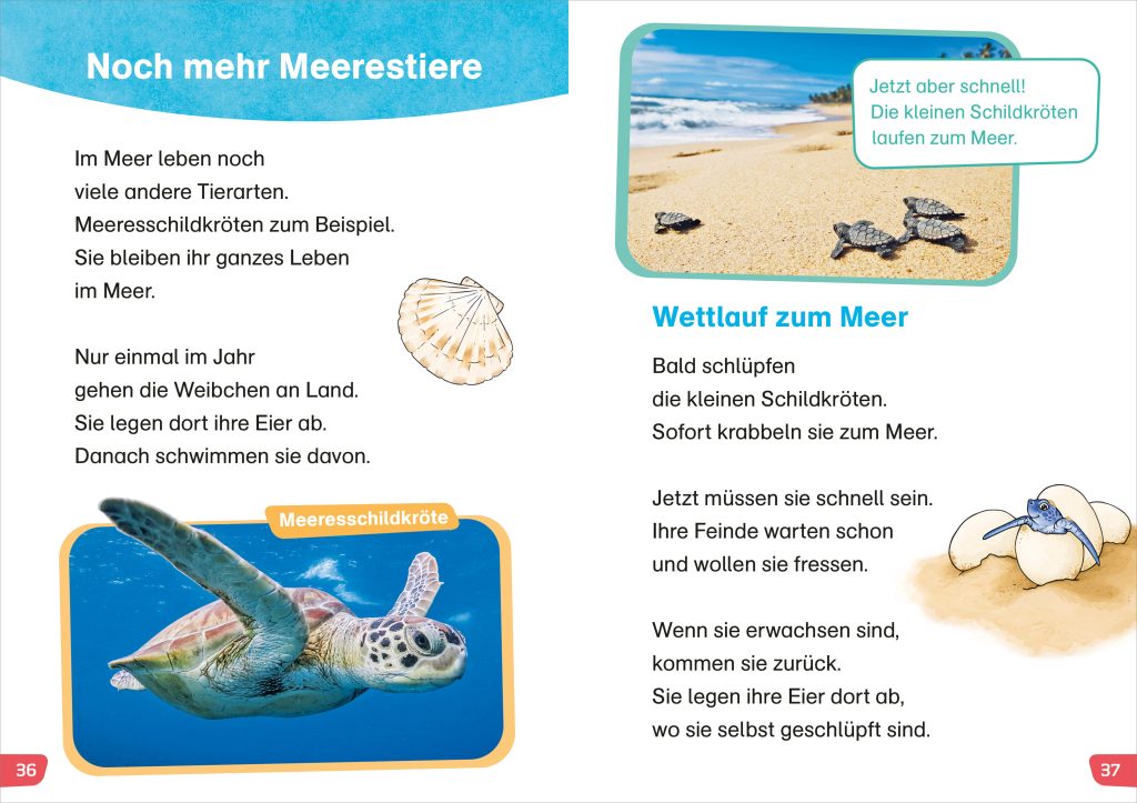 WAS IST WAS Erstes Lesen easy!  Tiere im Meer