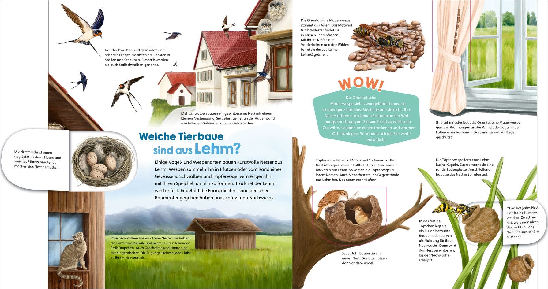 WAS IST WAS Junior Tierische Baumeister