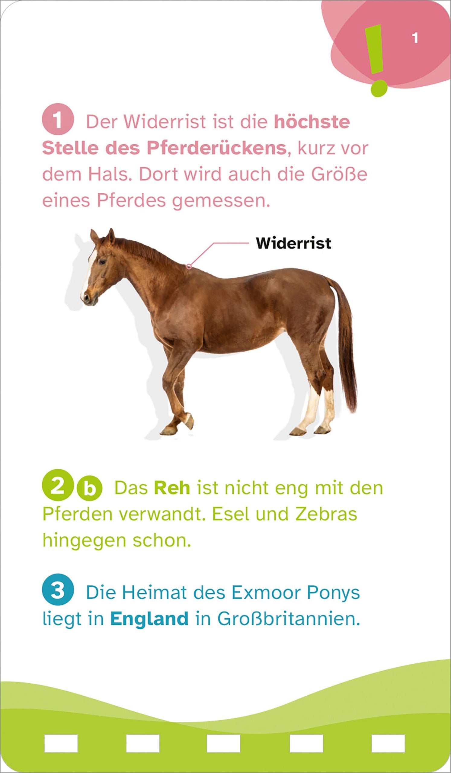 WAS IST WAS Quiz Pferde