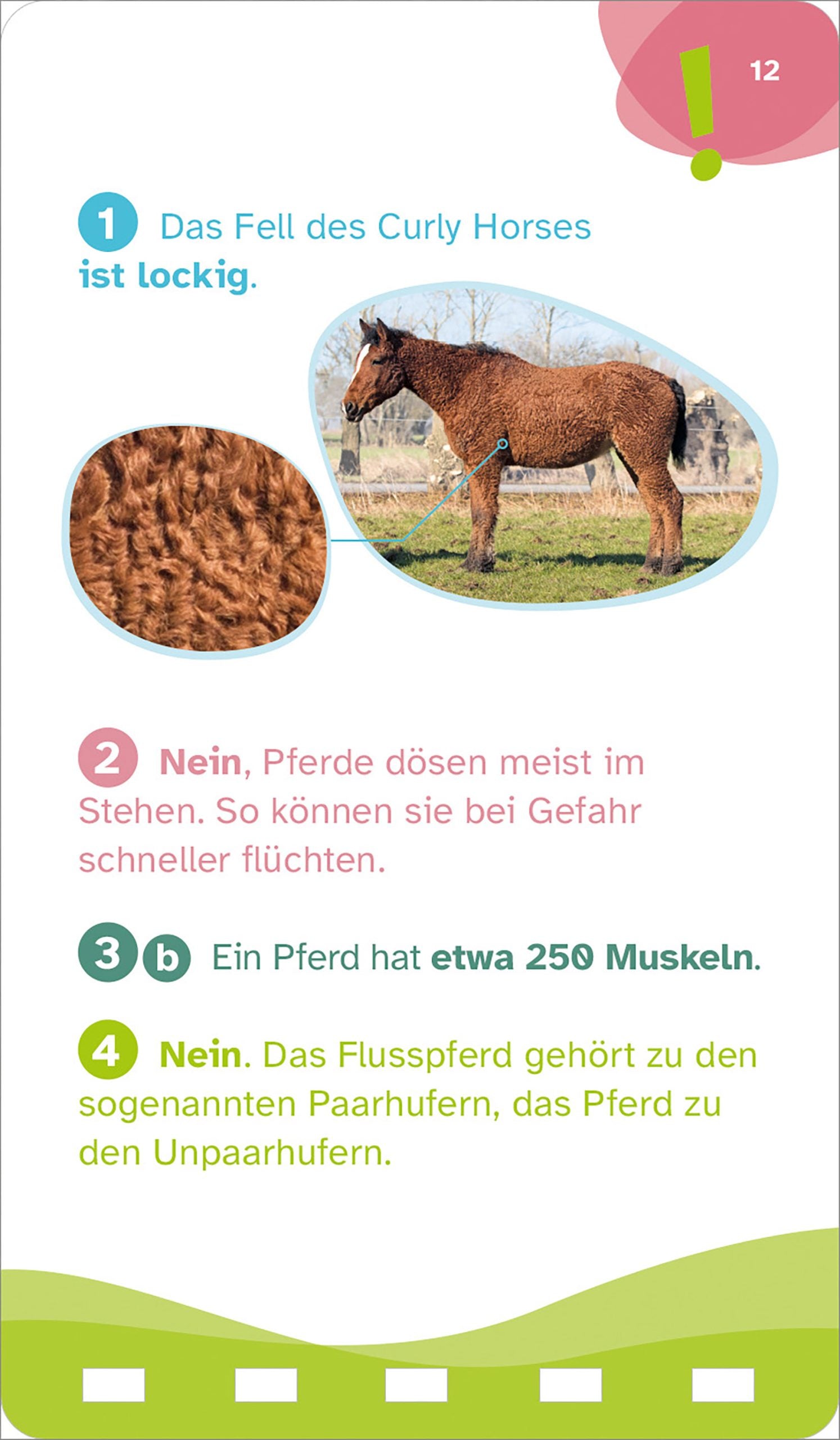 WAS IST WAS Quiz Pferde