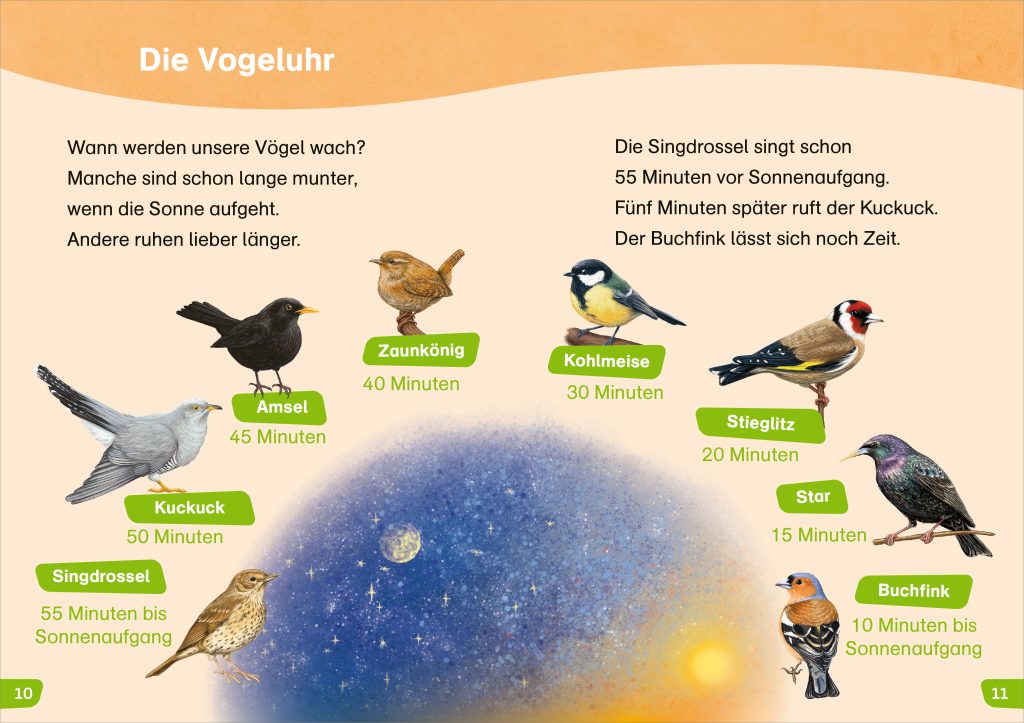 WAS IST WAS Erstes Lesen easy!  Wie leben unsere Vögel?