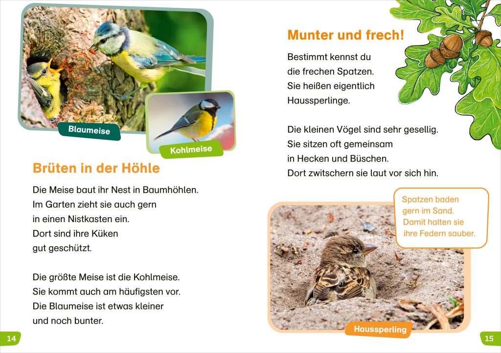 WAS IST WAS Erstes Lesen easy!  Wie leben unsere Vögel?