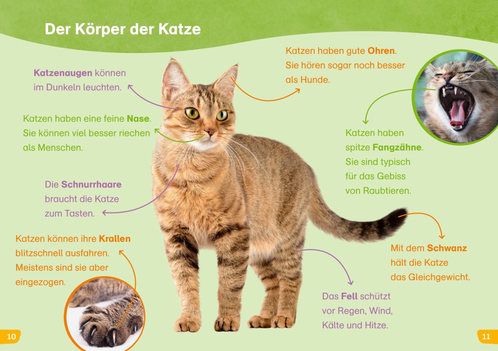 WAS IST WAS Erstes Lesen easy!  Katzen – meine Lieblingstiere