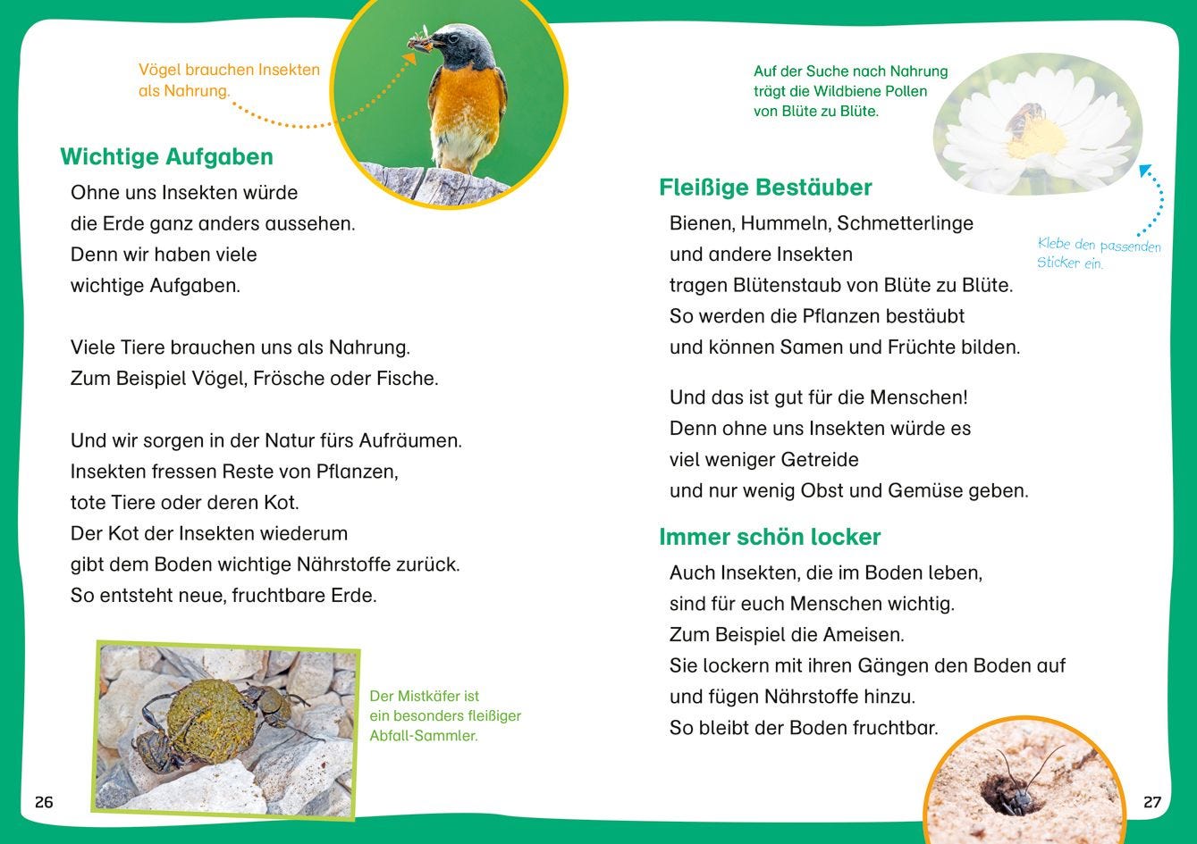 WAS IST WAS Erstes Lesen. Leserätsel Insekten