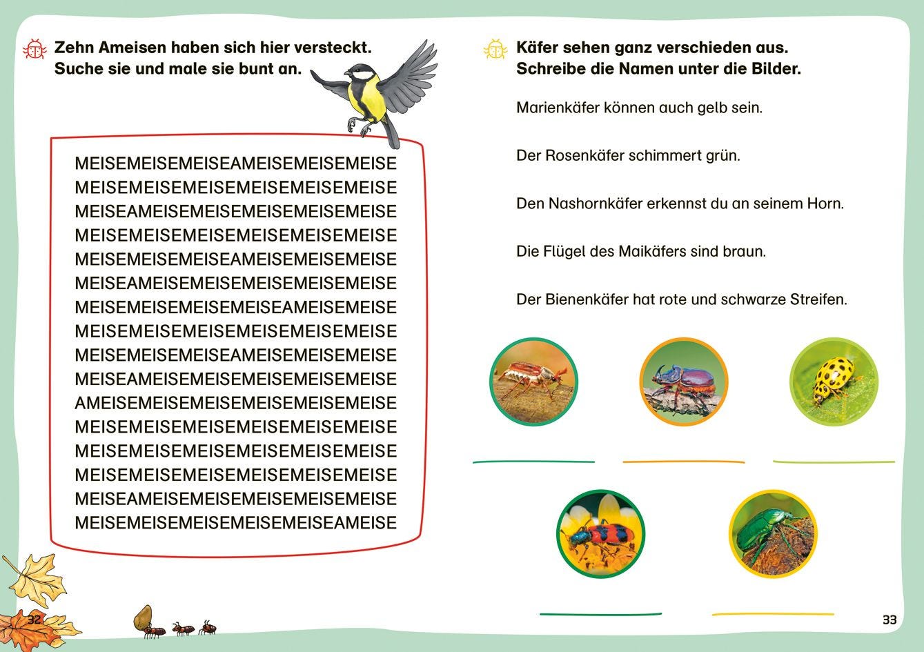 WAS IST WAS Erstes Lesen. Leserätsel Insekten