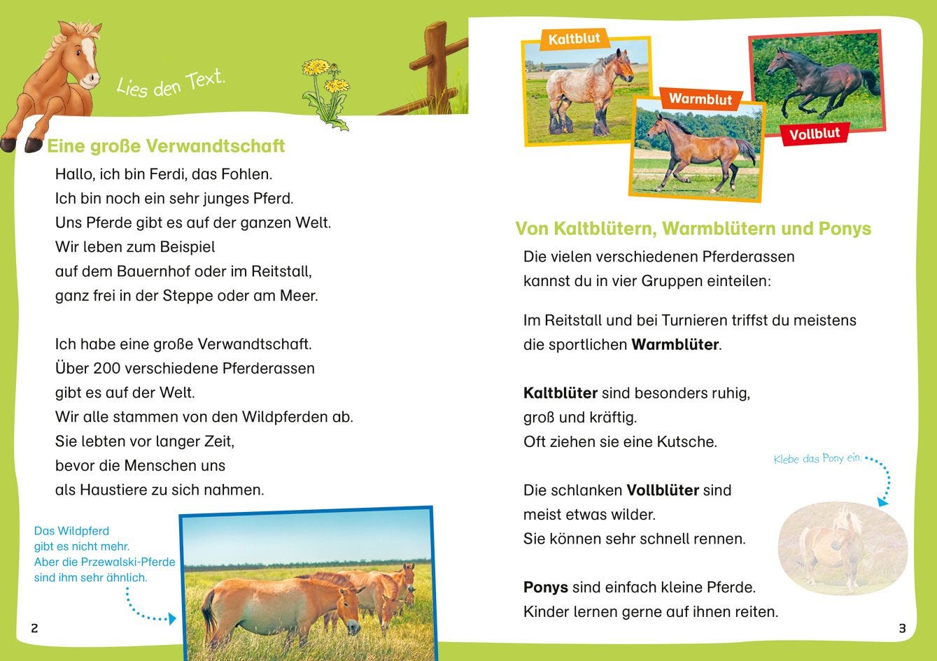 WAS IST WAS Erstes Lesen. Leserätsel Pferde und Ponys