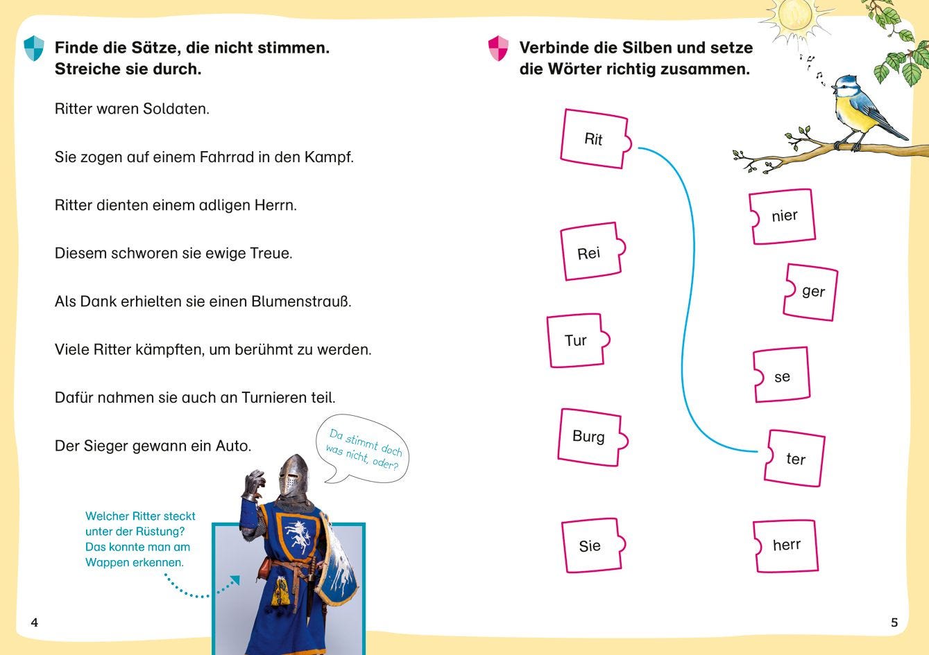 Sachbuch Tessloff WAS IST WAS Erstes Lesen. Leserätsel Ritter und Burgen