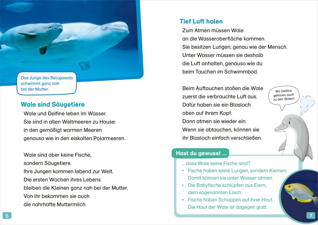 WAS IST WAS Erstes Lesen. Wale und Delfine