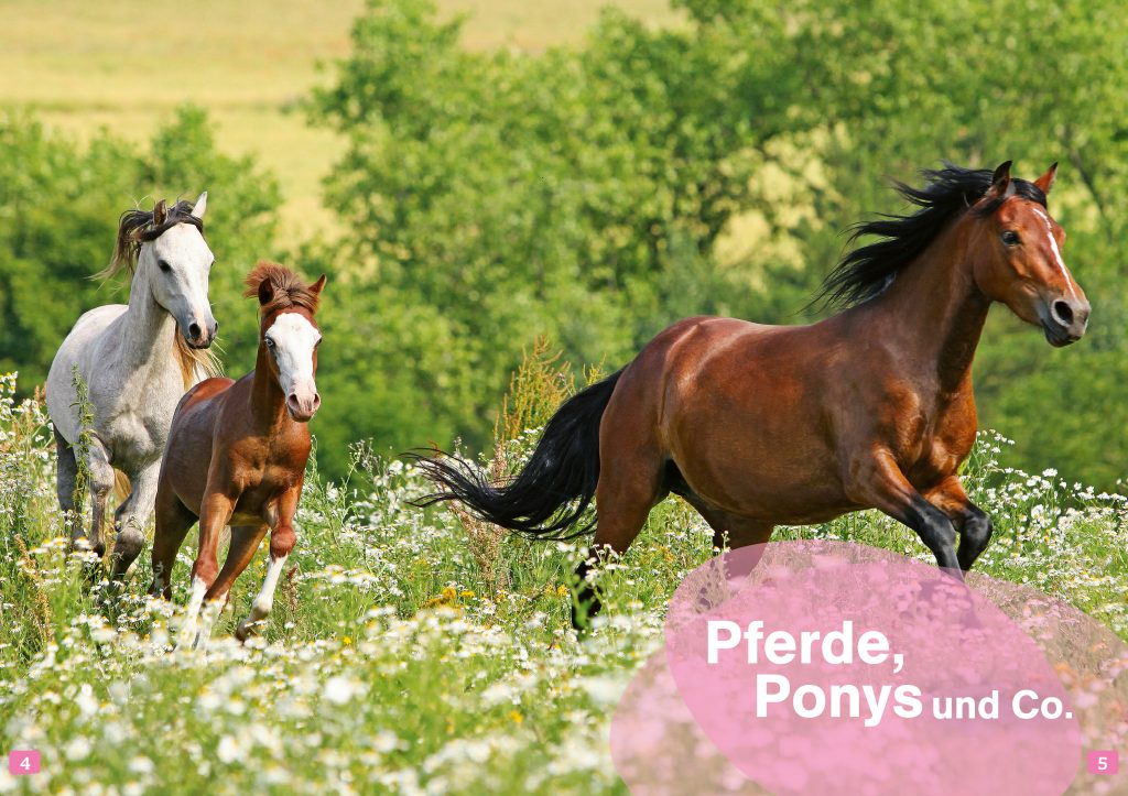 WAS IST WAS Erstes Lesen. Pferde und Ponys