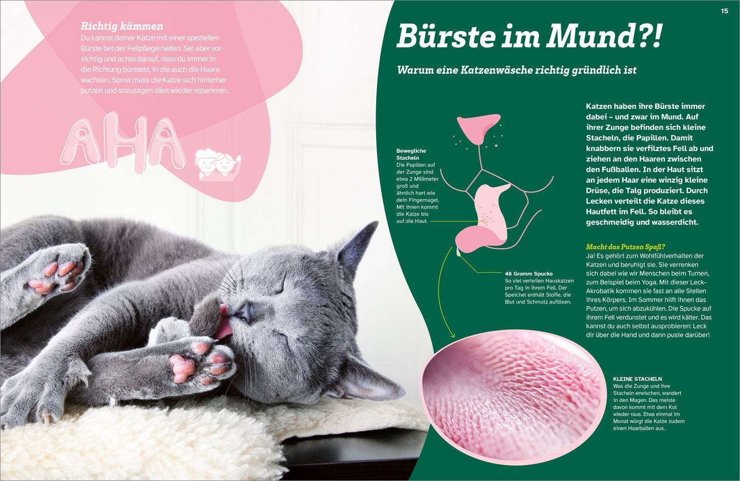 Buch Tessloff WAS IST WAS Katzen. Eigenwillige Schnurrer