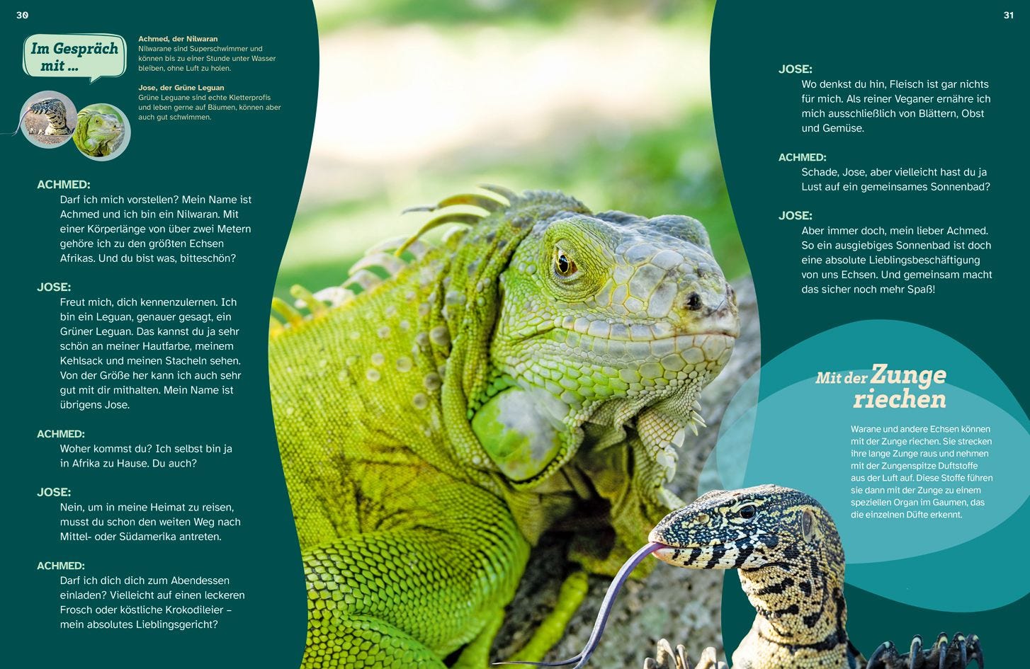 WAS IST WAS Echsen. Kleine Drachen hautnah