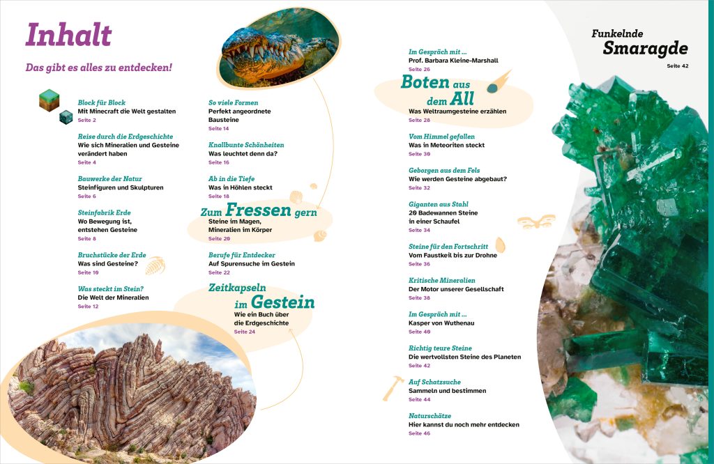 Buch Tessloff WAS IST WAS Mineralien und Gesteine. Schätze der Natur