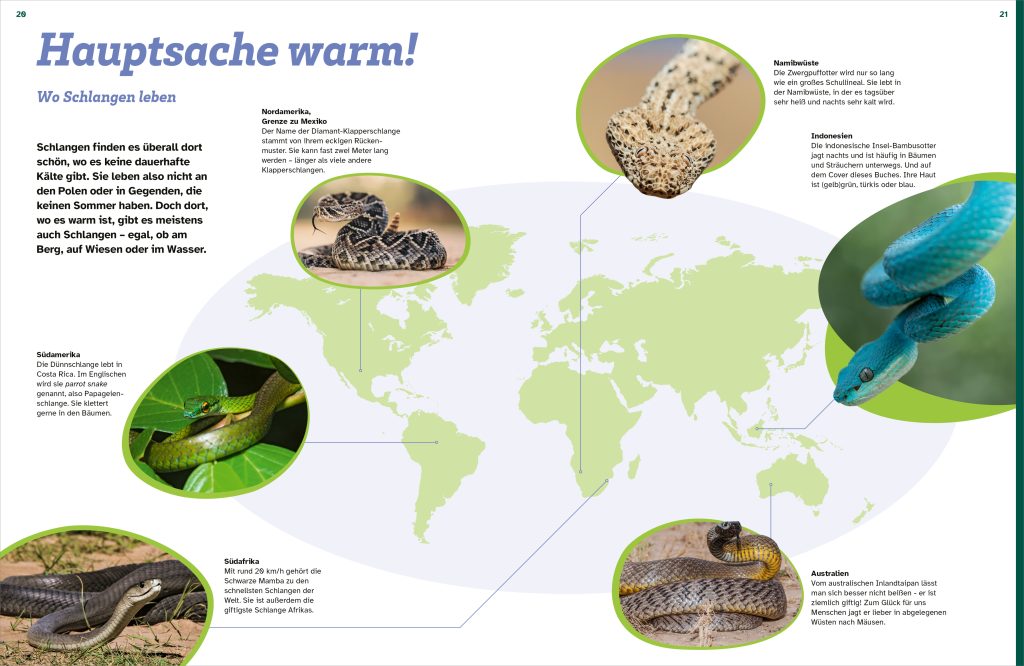 Buch Tessloff WAS IST WAS Schlangen. Schuppenhaut und Supersinne