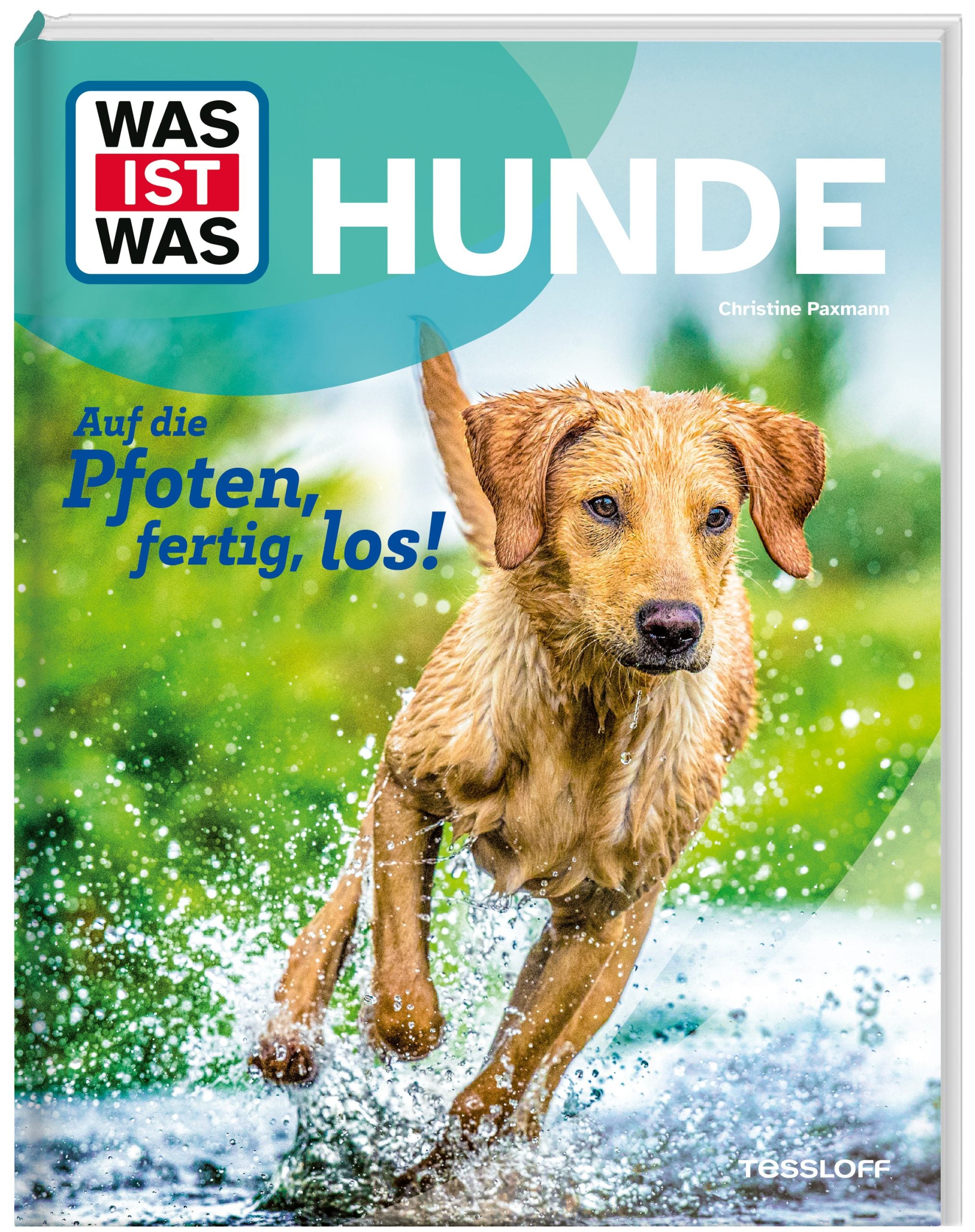 Buch Tessloff WAS IST WAS Hunde. Auf die Pfoten, fertig, los!