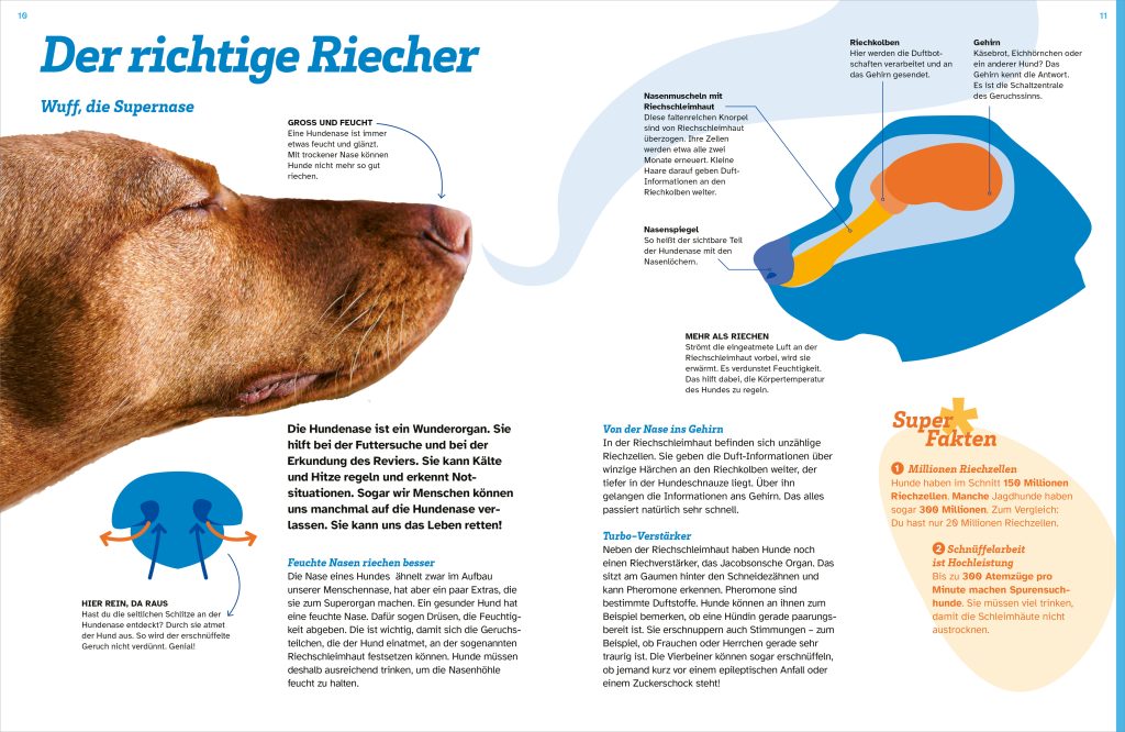 Buch Tessloff WAS IST WAS Hunde. Auf die Pfoten, fertig, los!