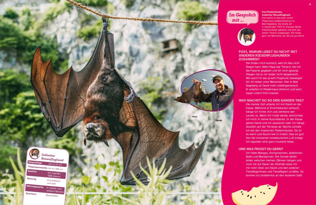 Buch Tessloff WAS IST WAS Fledermäuse. Flink durch die Nacht