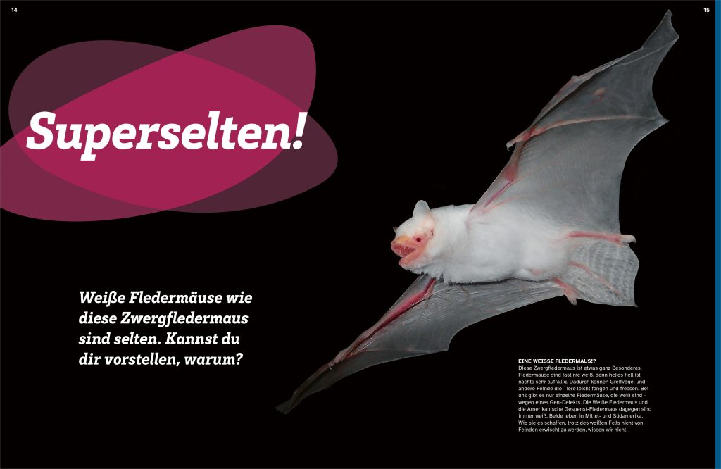 Buch Tessloff WAS IST WAS Fledermäuse. Flink durch die Nacht