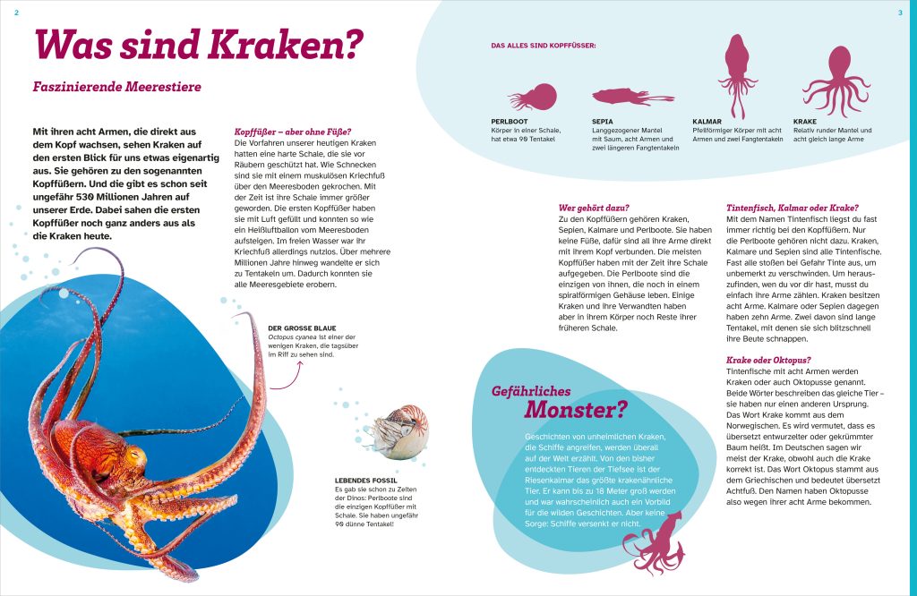 Buch Tessloff WAS IST WAS Kraken. Acht Arme und drei Herzen