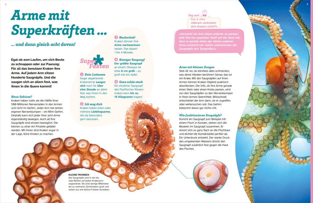 Buch Tessloff WAS IST WAS Kraken. Acht Arme und drei Herzen