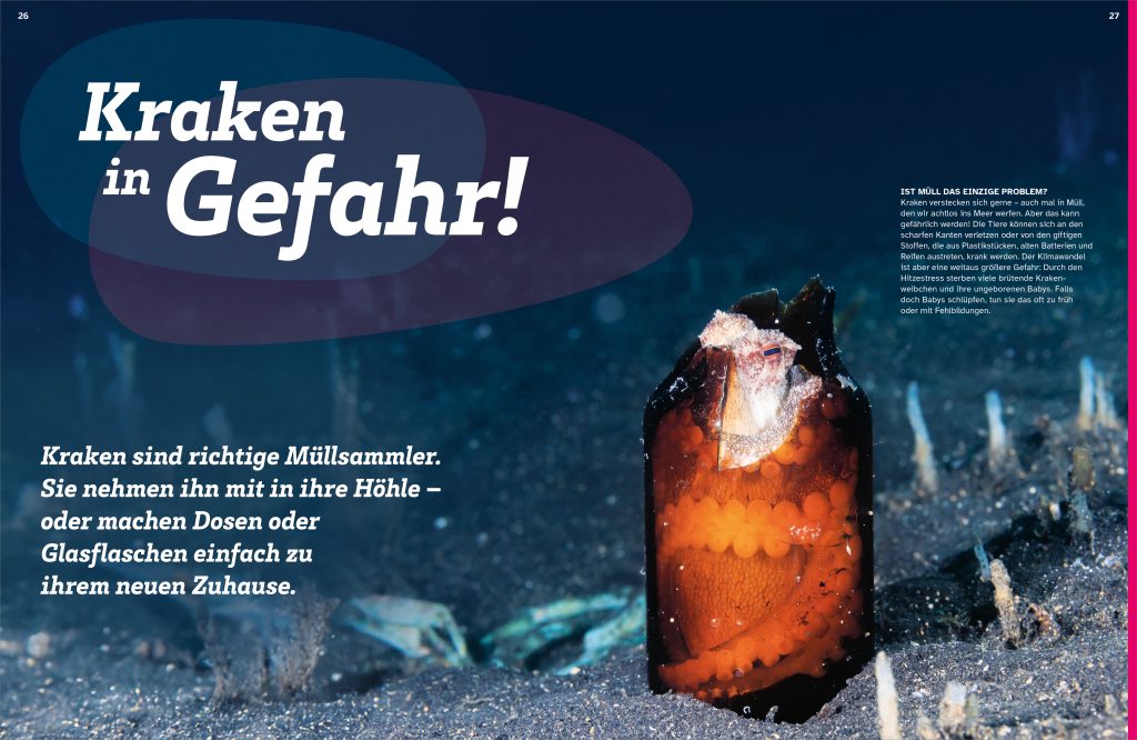 Buch Tessloff WAS IST WAS Kraken. Acht Arme und drei Herzen