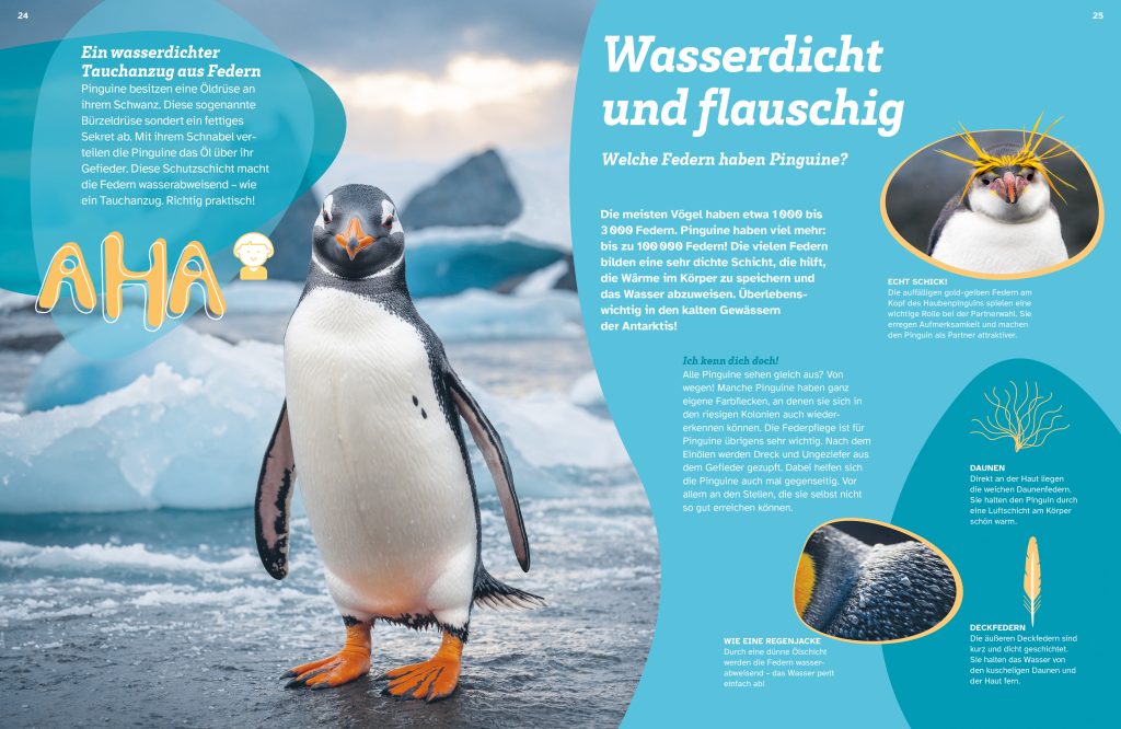 WAS IST WAS  Pinguine. Immer cool drauf
