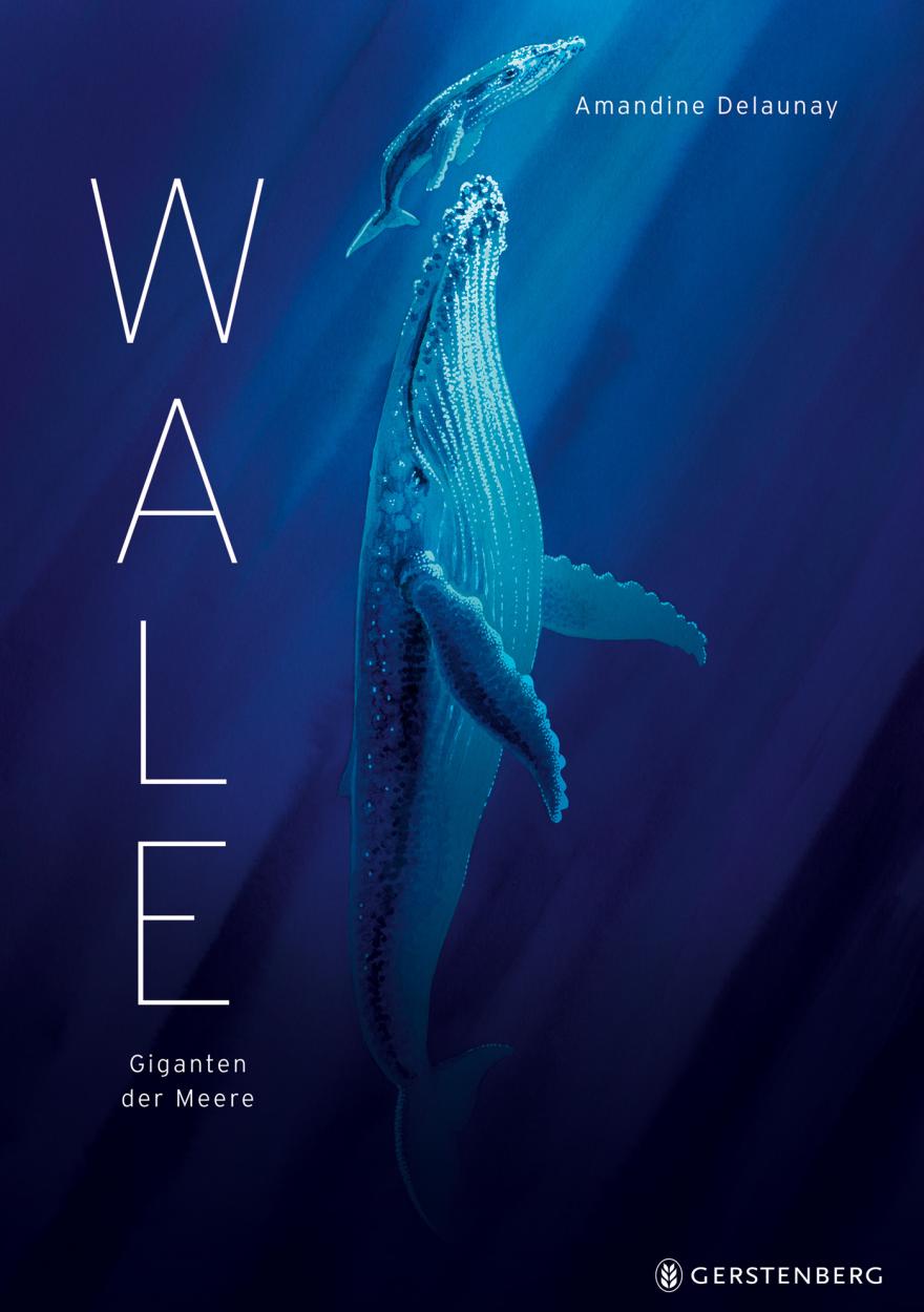 Sachbuch Gerstenberg Verlag Wale - Giganten der Meere