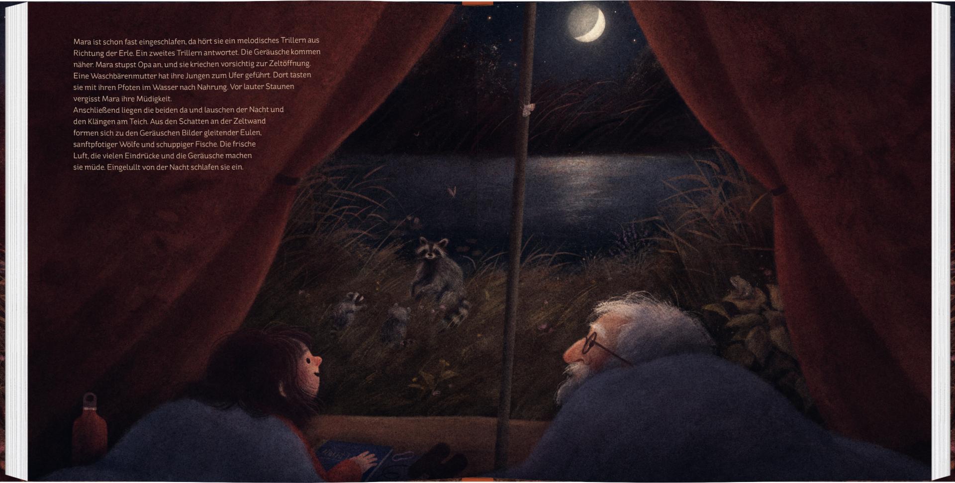 Sachbuch Gerstenberg Verlag Nachts am Teich