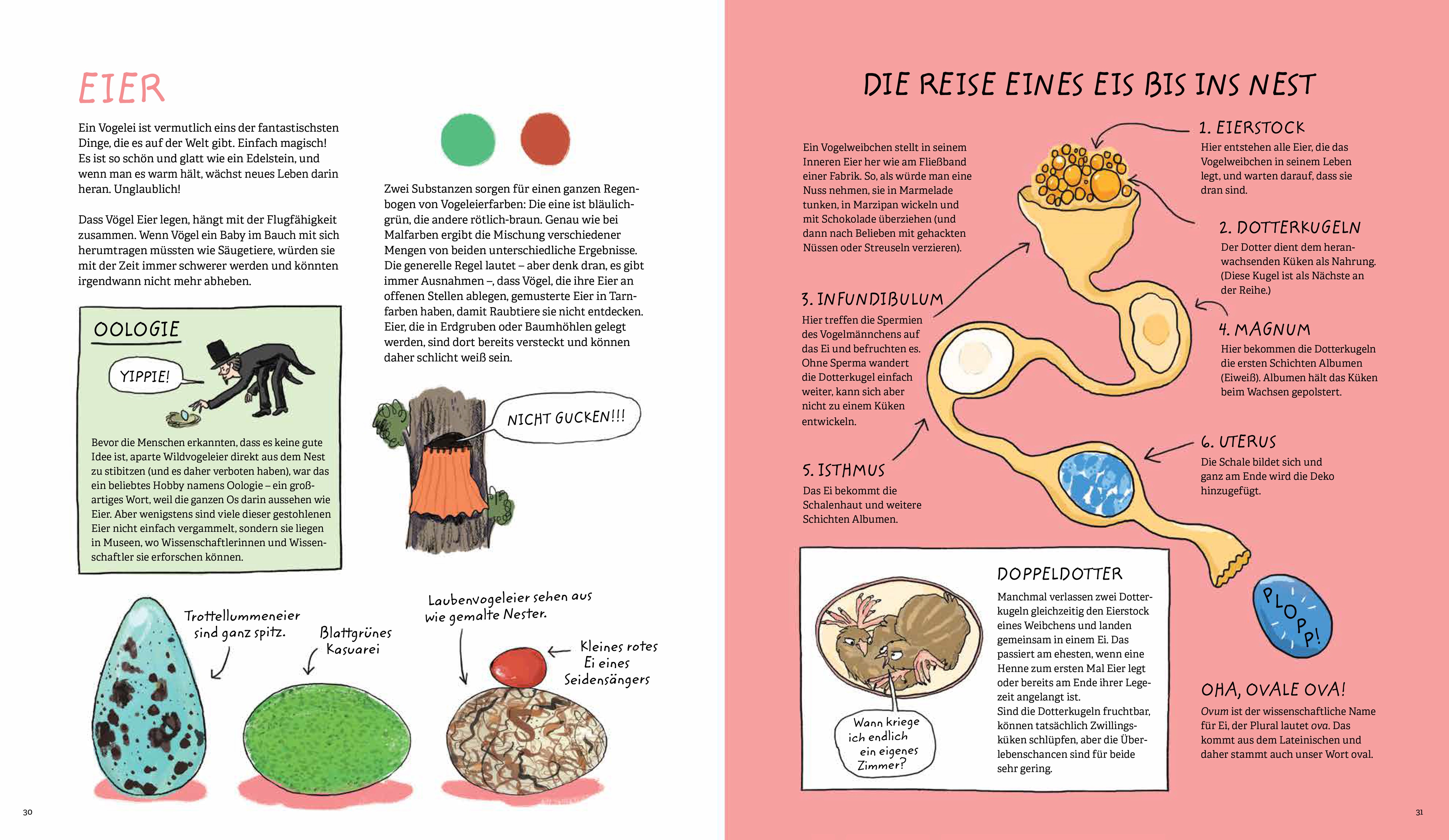 Aus dem Ei geschlüpft
