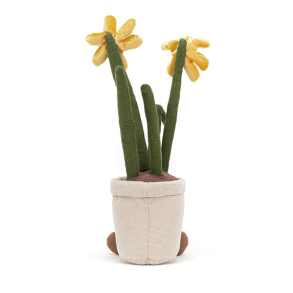 Amuseable Daffodil (Narzisse)