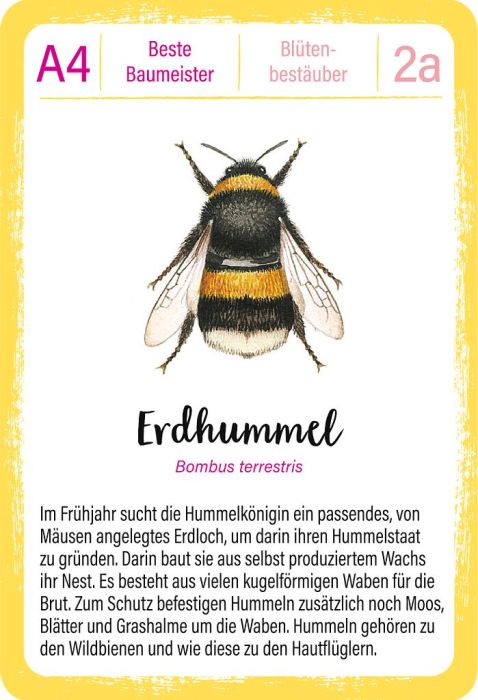 Moses 50 Karten / Pocket Quiz Moses Verlag Expedition Natur - Quartett: Tierrekorde