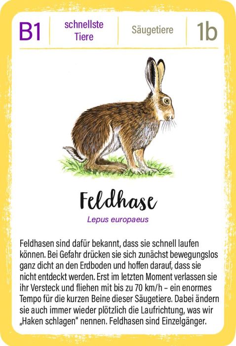 Moses 50 Karten / Pocket Quiz Moses Verlag Expedition Natur - Quartett: Tierrekorde