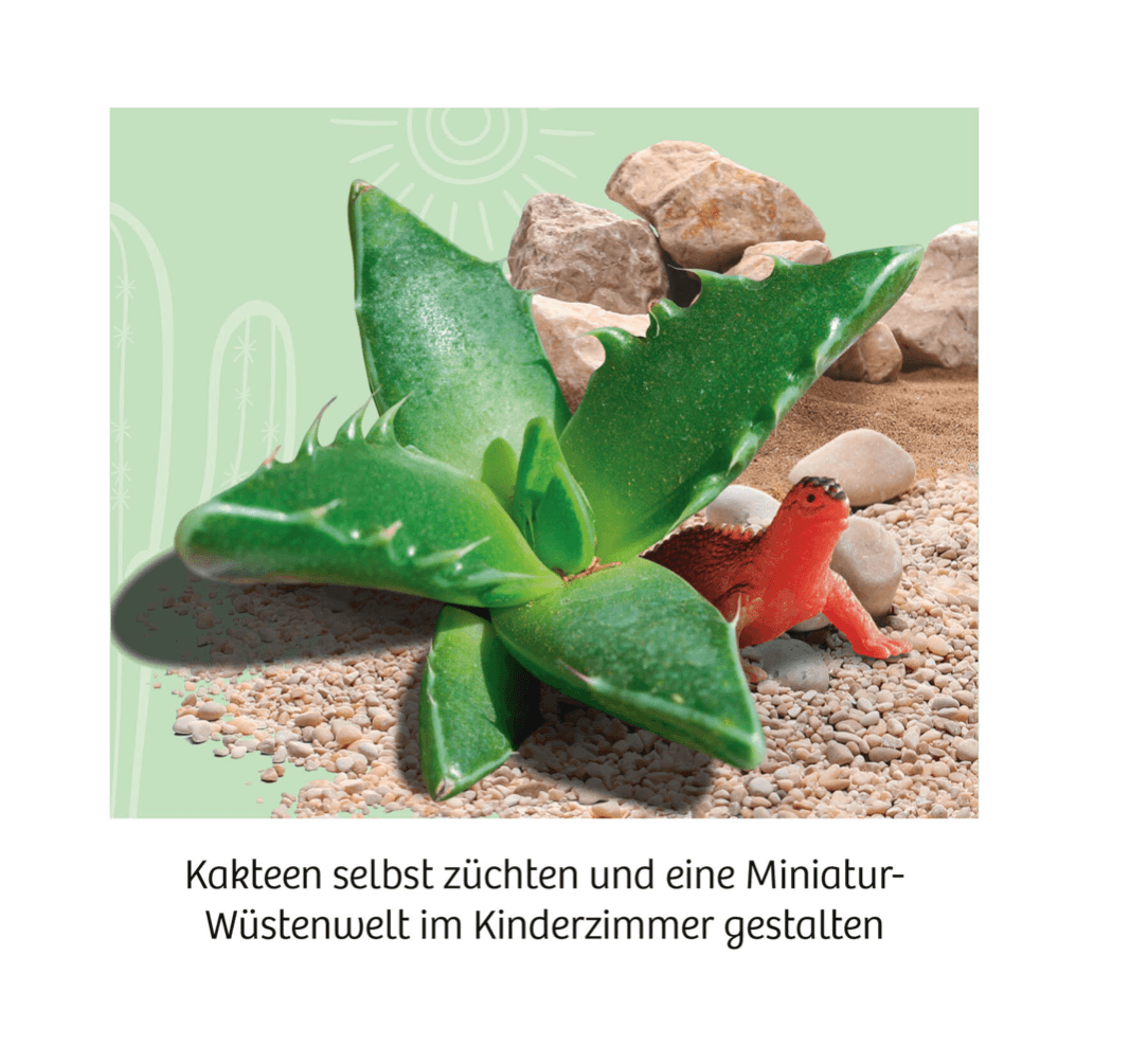 Kakteen-Wüste - WELTENTDECKER