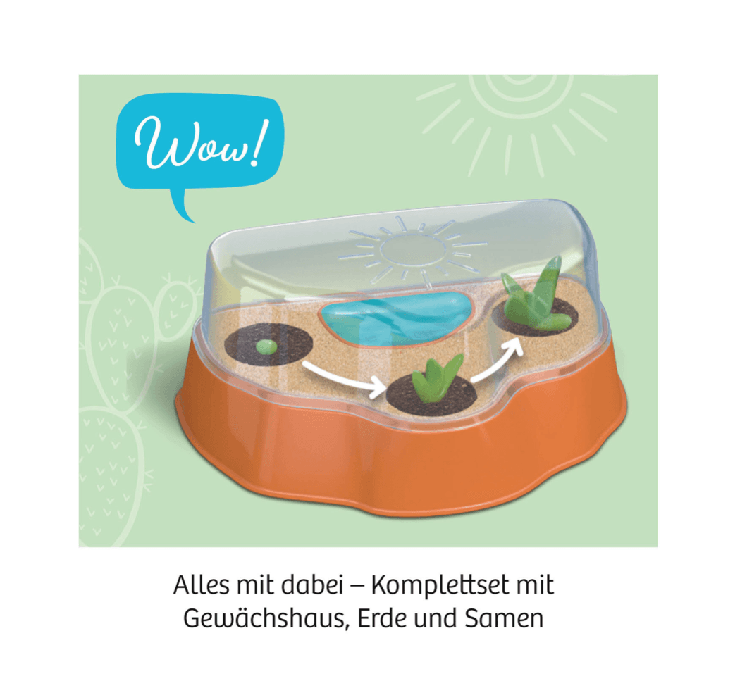 Kakteen-Wüste - WELTENTDECKER