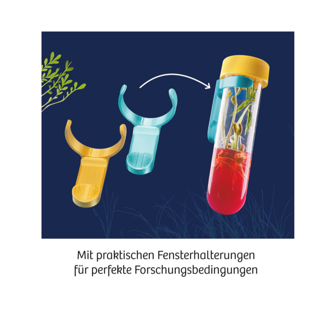 Experiment KOSMOS Fun Science Aqua-Gel Pflanzen