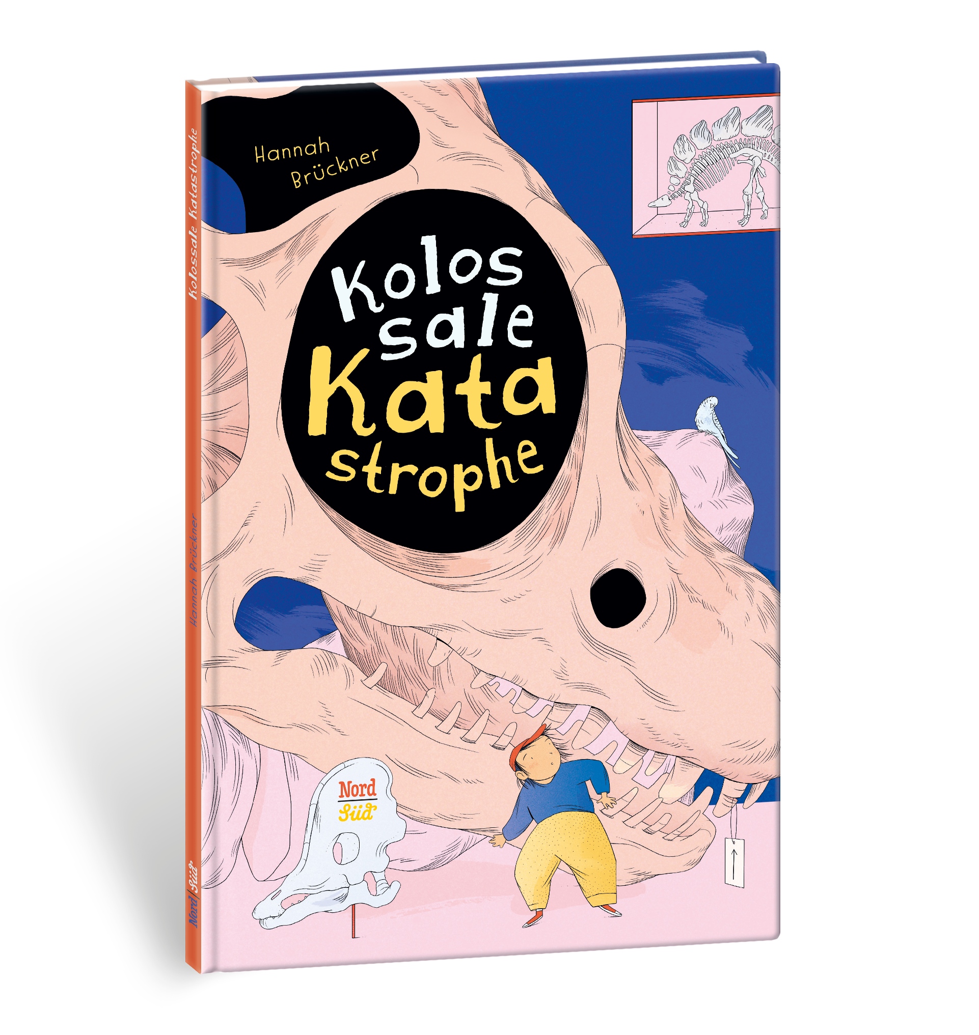 Buch NordSüd Verlag Kolossale Katastrophe